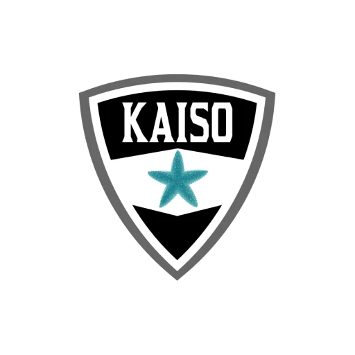 Kaiso